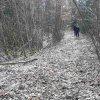 03 bei Waldhausen - Schättere-Trasse